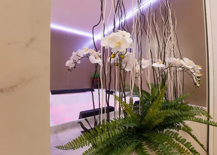 Hotel Popula - The Lifestyle