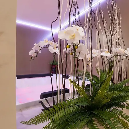 Hotel Popula - The Lifestyle