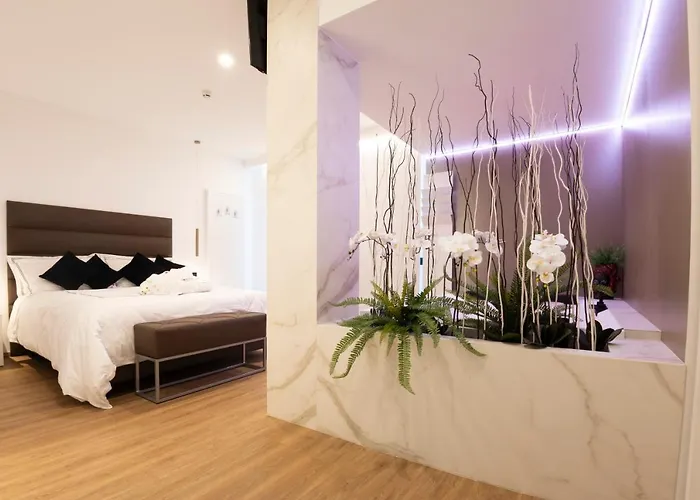 Popula - The Lifestyle 갈리폴리